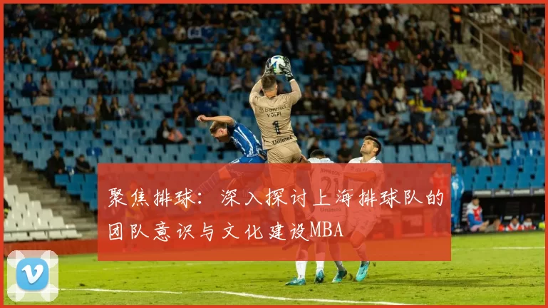 聚焦排球：深入探讨上海排球队的团队意识与文化建设MBA
