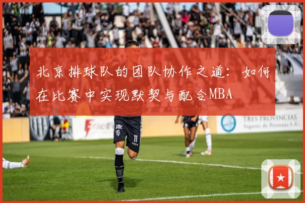 北京排球队的团队协作之道：如何在比赛中实现默契与配合MBA