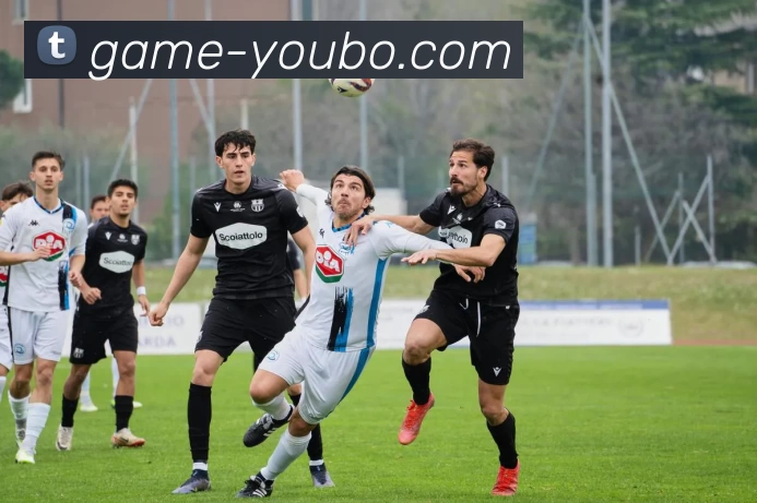 YB友博APP 体育赛事宣传图